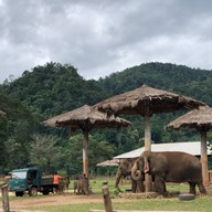 Elephant Nature Park