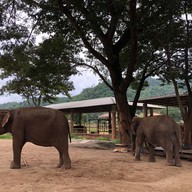 Elephant Nature Park