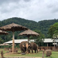 Elephant Nature Park