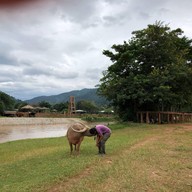 Elephant Nature Park