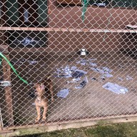 Elephant Nature Park