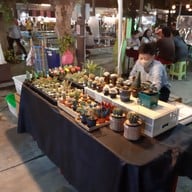 ตลาดชินตา