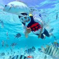 บรรยากาศ อ.ไตรทิพย์ - ดำน้ำแสมสาร