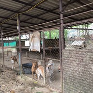 Elephant Nature Park