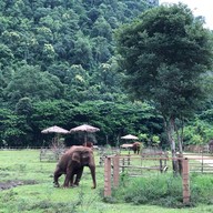 Elephant Nature Park
