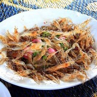 กุ้งโคโยตี้พัทยา