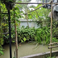 ก๋วยเตี๋ยวคุณป้า