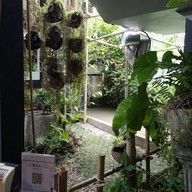 ก๋วยเตี๋ยวคุณป้า