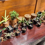 บ้านฮาฮิมน้ำ