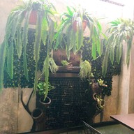 มะปราง เดอะ ทรี การ์เด้น 1