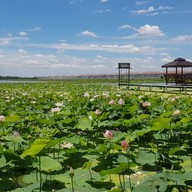 บรรยากาศ ก๋วยเตี๋ยวเรือบัวนา