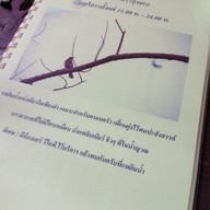 แพฮิมน้ำกุ้งเผา