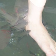 บ้านสวนสุวรรณ รีสอร์ท