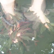 บ้านสวนสุวรรณ รีสอร์ท