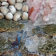 แซนด์วิชทูโก649 (รามอินทรา67) สาขารามอินทรา67