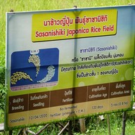 บรรยากาศ เอเดนฟาร์ม