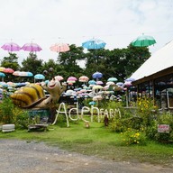 บรรยากาศ เอเดนฟาร์ม