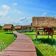 ตา-ยาย ชมทุ่ง