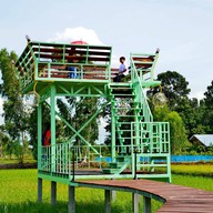 ตา-ยาย ชมทุ่ง