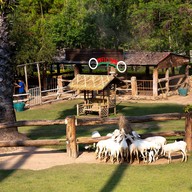 บรรยากาศ small farm