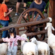 หน้าร้าน small farm