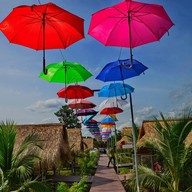 ตา-ยาย ชมทุ่ง