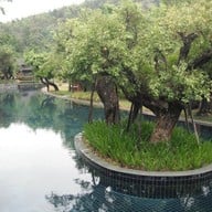 Sibsan Cuisine เเม่เเตง