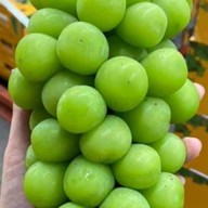 ร้าน เฮียณุ..จำหน่ายผลไม้นำเข้าจากต่างประเทศและผลไม้ตามฤดูกาล 1