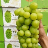 ร้าน เฮียณุ..จำหน่ายผลไม้นำเข้าจากต่างประเทศและผลไม้ตามฤดูกาล 1