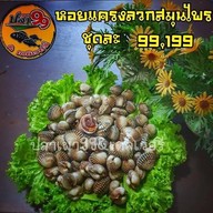 เมนูของร้าน ปลาเผา 99 & เดลิเวอร์รี่ สามกอง