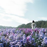 บรรยากาศ ยิ่งยงสวนดอกไม้