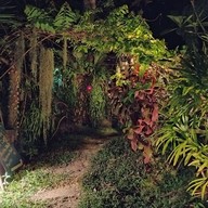 Chaba Cafe and Gallery