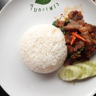 เมนูของร้าน ใบกะเพรา