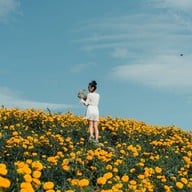 บรรยากาศ ยิ่งยงสวนดอกไม้