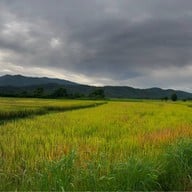 ดอยเสมอดาว