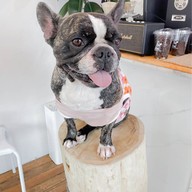 Frenchie cafe’ Phuket Frenchie cafe’ Phuket