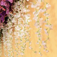 Siaew cafehouse (ไซอิ๋ว คาเฟ่เฮ้าส์)