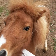 บรรยากาศ สวนผึ้งไฮแลนด์