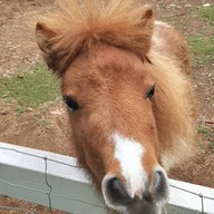 บรรยากาศ สวนผึ้งไฮแลนด์