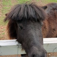 บรรยากาศ สวนผึ้งไฮแลนด์