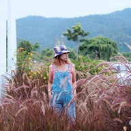 The Attic (ดิ แอตติค)