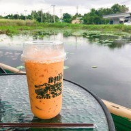 บัวชมพูกาแฟ