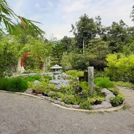 บรรยากาศ สวนผึ้งไฮแลนด์