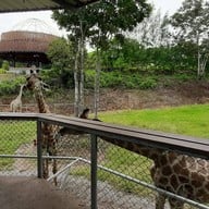 บรรยากาศ สวนผึ้งไฮแลนด์