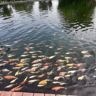 บรรยากาศ สวนผึ้งไฮแลนด์