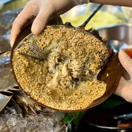 ยำป็อกๆหน้าห้างพันธุ์ทิพย์