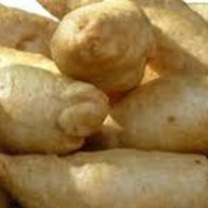 👍เฮง เฮง👍 ปลาระเบิด (บ้านกรด)