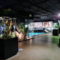Aquaria Phuket