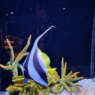 Aquaria Phuket