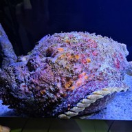 Aquaria Phuket